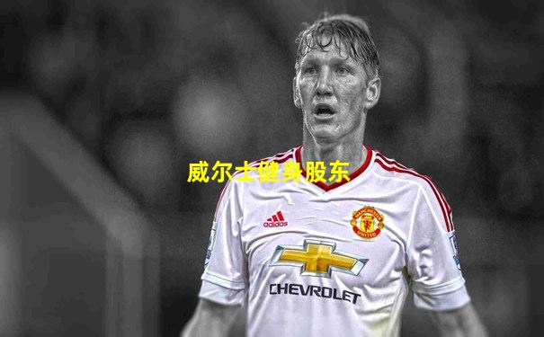 威尔士健身股东