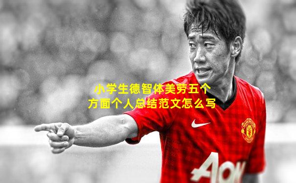 小学生德智体美劳五个方面个人总结范文怎么写