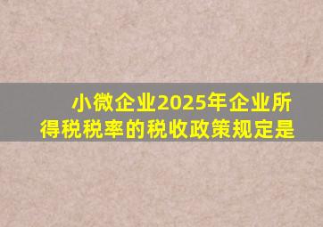 小微企业2025年企业所得税税率的税收政策规定是