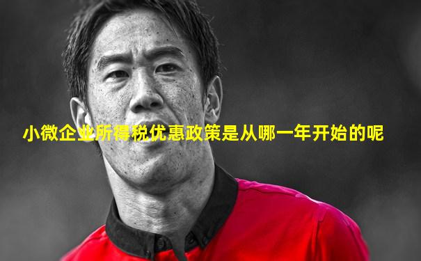小微企业所得税优惠政策是从哪一年开始的呢
