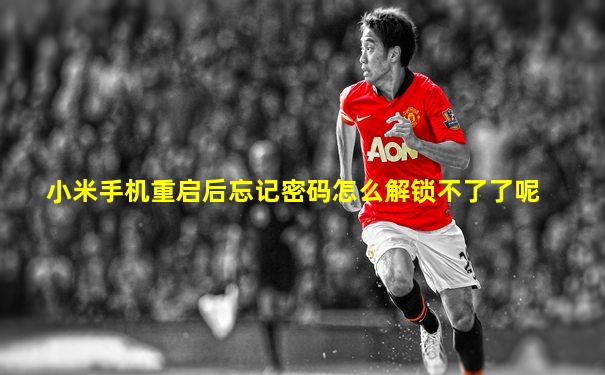小米手机重启后忘记密码怎么解锁不了了呢