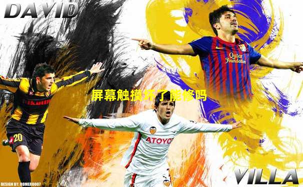 屏幕触摸坏了能修吗