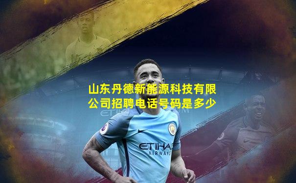 山东丹德新能源科技有限公司招聘电话号码是多少