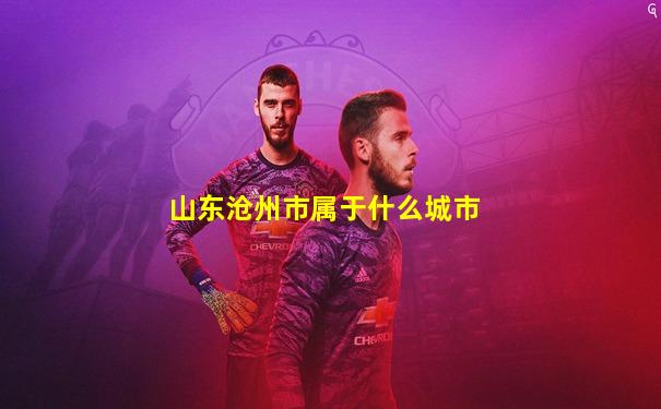 山东沧州市属于什么城市