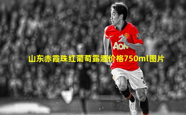 山东赤霞珠红葡萄露酒价格750ml图片