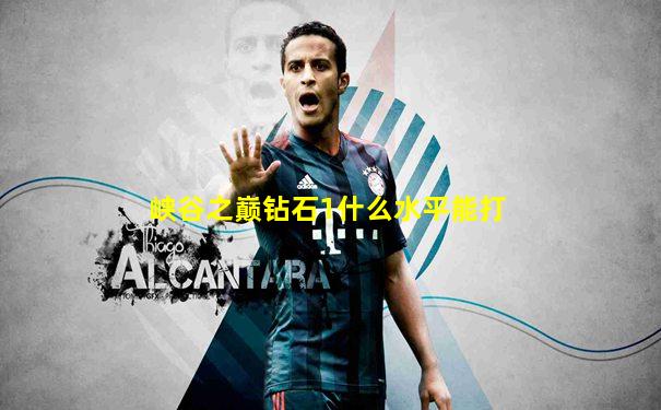 峡谷之巅钻石1什么水平能打