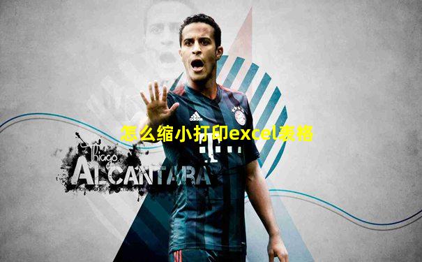 怎么缩小打印excel表格