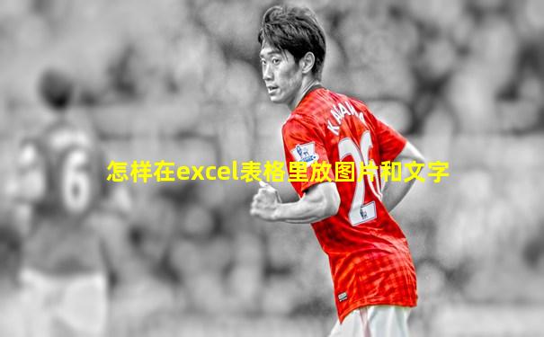 怎样在excel表格里放图片和文字
