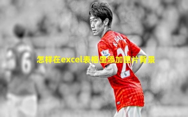 怎样在excel表格里添加图片背景