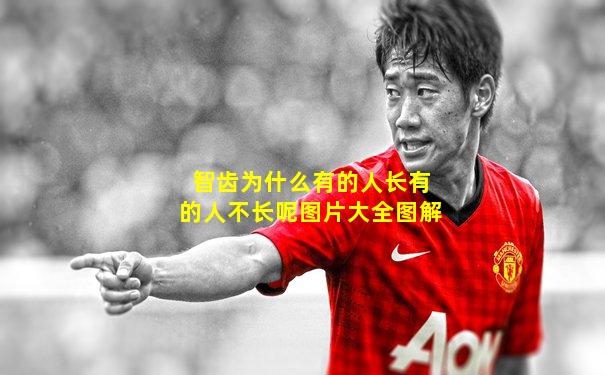 智齿为什么有的人长有的人不长呢图片大全图解