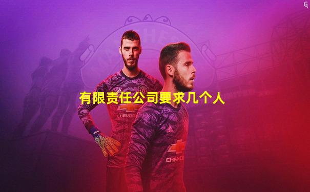 有限责任公司要求几个人