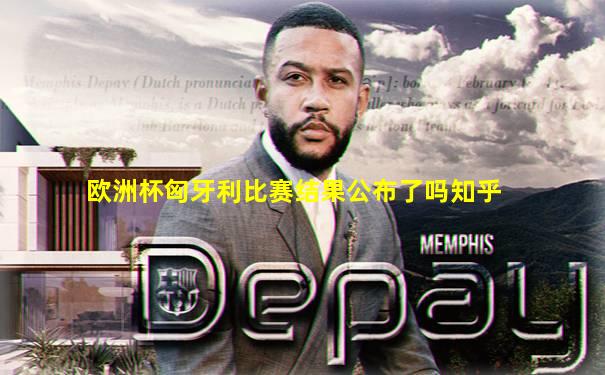 欧洲杯匈牙利比赛结果公布了吗知乎