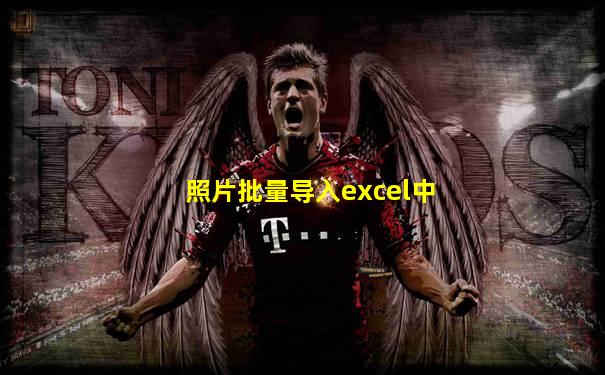 照片批量导入excel中