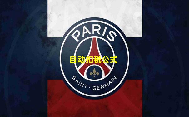 自动扣税公式
