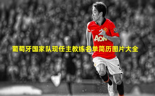 葡萄牙国家队现任主教练名单简历图片大全