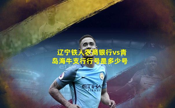 辽宁铁人农商银行vs青岛海牛支行行号是多少号