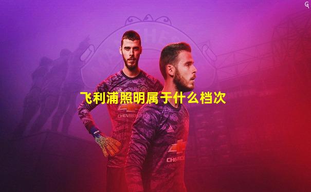 飞利浦照明属于什么档次
