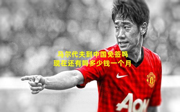 马尔代夫到中国免签吗现在还有吗多少钱一个月